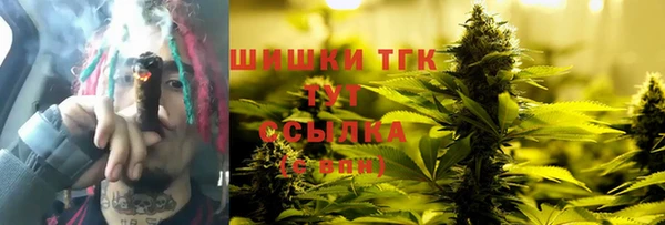 гидропоника Елабуга