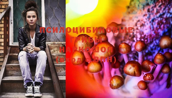мескалин Ельня