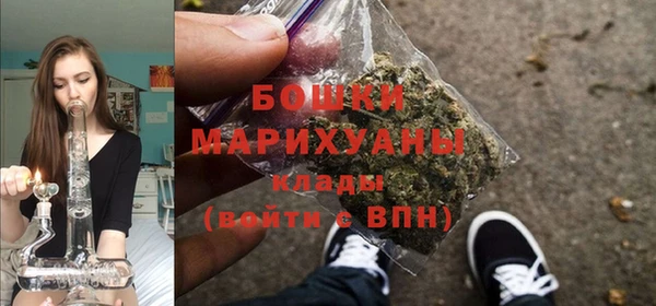 гидропоника Елабуга