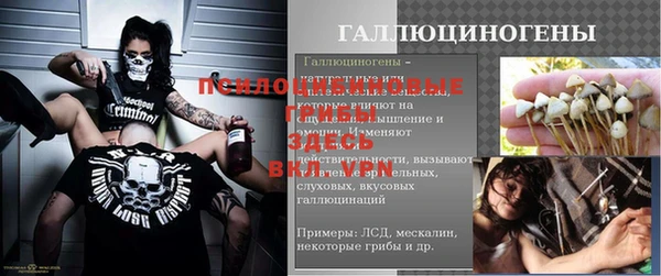 кокс Елизово
