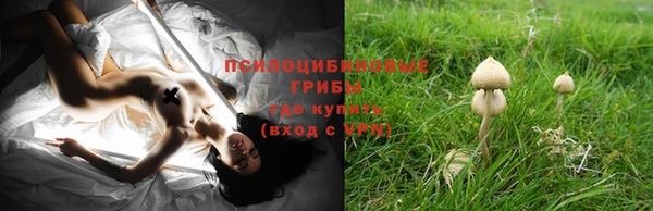 гидропоника Елабуга