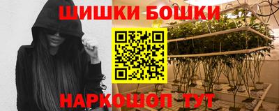 мет Дубна